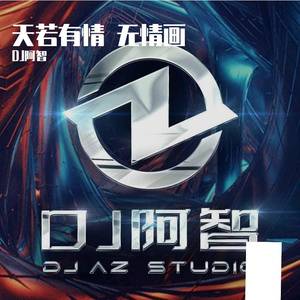 无情画（DJ阿智版）